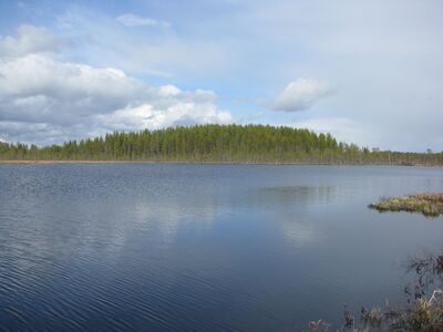 Mankisenjärvi.JPG