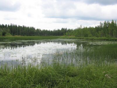 JuurikkajärviSiikajoki.jpg