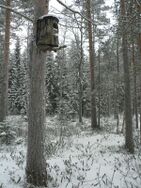 Juojärvi (04.711.1.004)/Kapustalahti