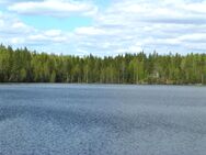 Usminjärvi (21.031.1.004)/Usminjärvi keskiosa 1