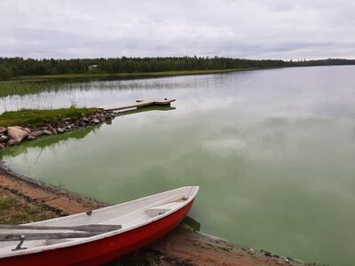 Jumalisjärvi (59.692.1.001)-Havaintopaikka 2-ObsALG-201908101645-0.jpg