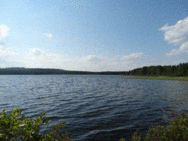 Poussunjärvi - Rahkolampi (61.333.1.001)/Jakokunnan ranta - Patalikonniemi