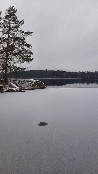Muuratjärven lähialue (14.281)-Muuratjärvi, Isolahti-ObsICE-202012141453-45.jpg