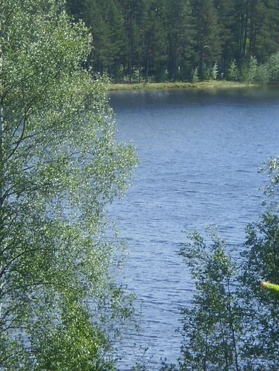Luotijärvi.JPG