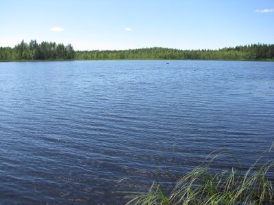 Kipsuanjärvi.JPG