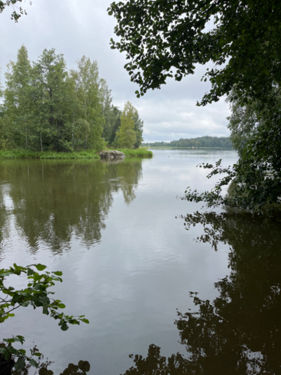 Ahtialanjärvi (35.221.1.001)-Virta kampuksen lintutorni-ObsIMG-202308251329-64e883b6ab008.png