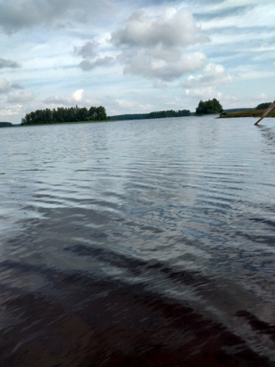 Evijärvi (47.021.1.001)-Valtakunnallinen sinileväseuranta (Sillankorvan leirintäalue)-ObsIMG-202107071031-60e559b9b02b4.png