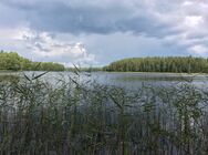 Piutulanjärvi (12.003.1.001)/Rantamaisema