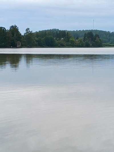 Villikkalanjärvi (16.003.1.003)-Valtakunnallinen sinileväseuranta-ObsIMG-202308011020-64c8b25222a5f.png
