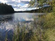 Luomasenjärvi (14.193.1.001)/Maisema Sarkalahdentien varresta.