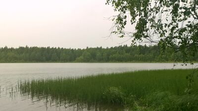 Lylyjärvi.24.6.2015.jpg
