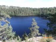 Mustjärvi (81.061.1.013)/Lounaiset kalliot