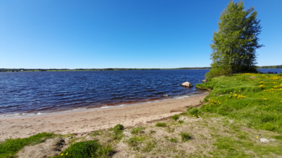 Piipsjärvi (54.071.1.001)-Valtakunnallinen sinileväseuranta (Kurjenlahti)-ObsIMG-202205301235-629f4ecf3ed44.png
