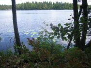 Sahajärvi (81.057.1.033)/Ranta