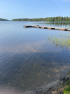 Pitkäjärvi (04.152.1.002)/Valtakunnallinen sinileväseuranta (Pitkäjärven uimaranta)