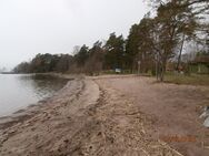 Villinki/Porvariskuninkaanpuiston uimaranta