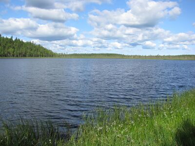 Valkiaisjärvi1.JPG