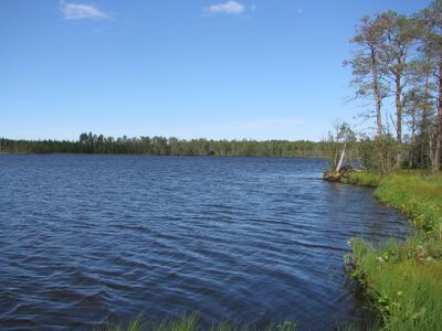 IsoSunijärvi.JPG