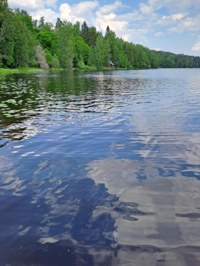 Vihnusjärvi (35.213.1.001)-Valtakunnallinen sinileväseuranta-ObsIMG-202306211654-6493019a8c45b.png