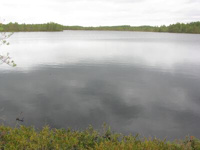 ValkiaisjärviV.JPG