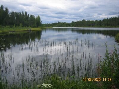 Lamunjärvi.JPG