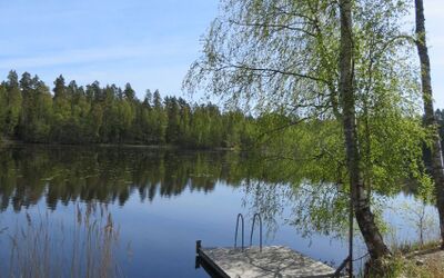 Noitajärvi.jpg