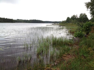 Hangasjärvi2.jpg