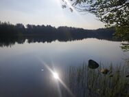 Hirvijärvi (14.929.1.038)/Paljakka