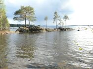 Juojärvi (04.711.1.004)/Riihilahti