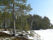 Juojärvi (04.711.1.004)/Varislahti