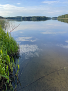 Ukonvesi (Saimaa) (04.151.1.001)/Valtakunnallinen sinileväseuranta (Launialan uimaranta)