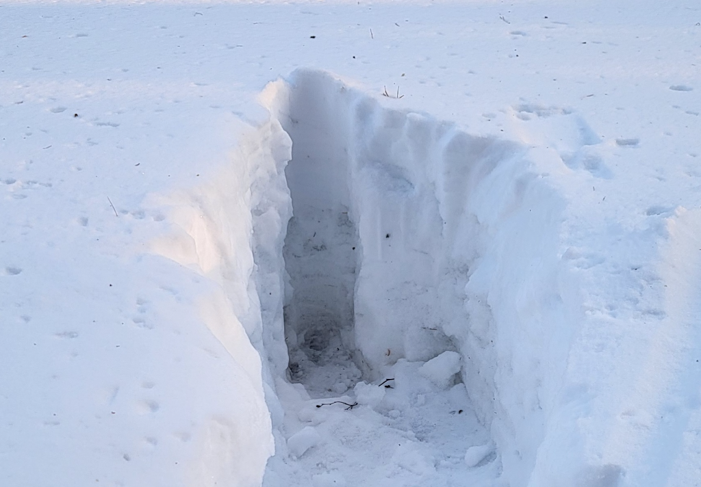 Kuolimon lähialue (04.141)-Ratsupolku 3-ObsSNOWLOAD-202303121640-640ef1d234522.png