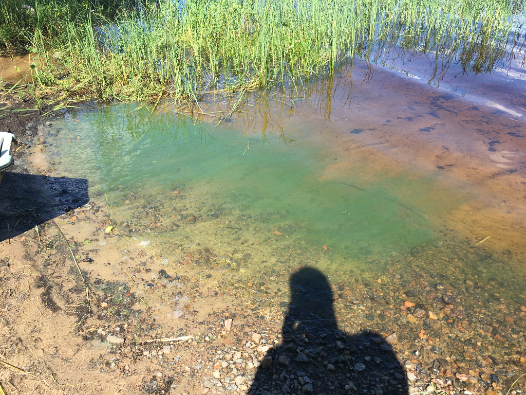 Toisvesi (35.421.1.001)-Havaintopaikka 2-ObsALG-202107032306-60e0c570e43bb.png