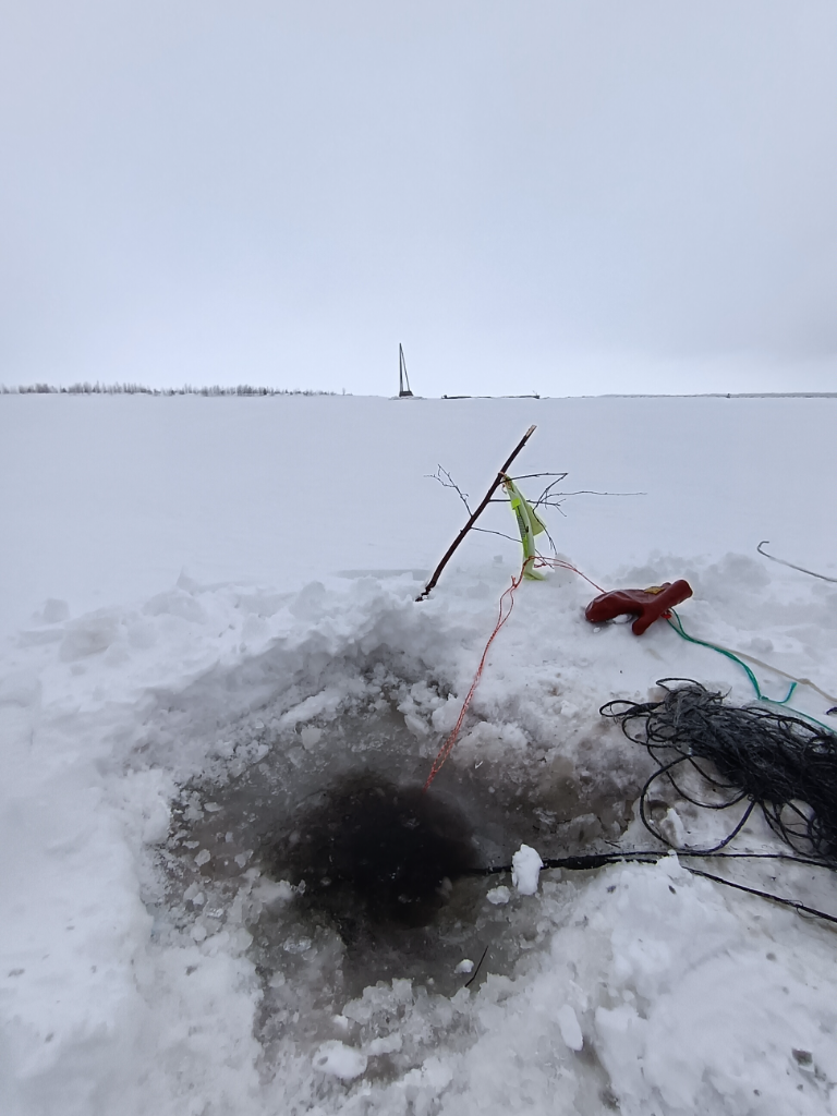 Välialue (84V113)-Kuivasmeri-ObsIMG-202404050934-6614e1cd9d6b0.png