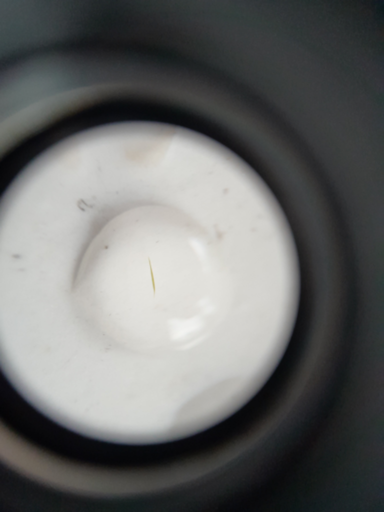 Rymättylän ja Houtskarin välinen saaristo-Velkua, Salavainen, Kaidanpää-ObsALG-202407251715-66a2ae0c37206.png