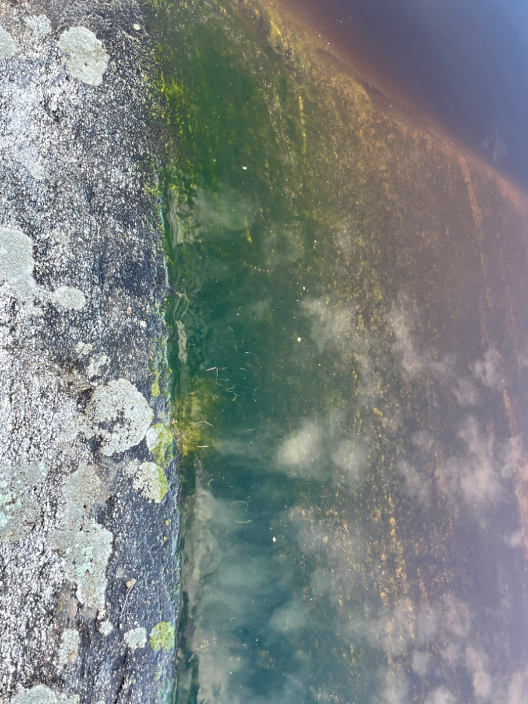 Kallavesi (yhd.)-Kortesalmi-ObsIMG-202205270622-629044c6f3b78.png