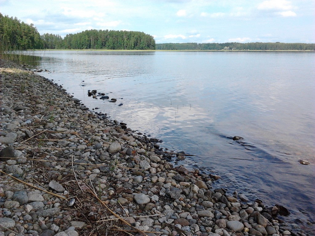 Punkaharju harjualue ranta.jpg