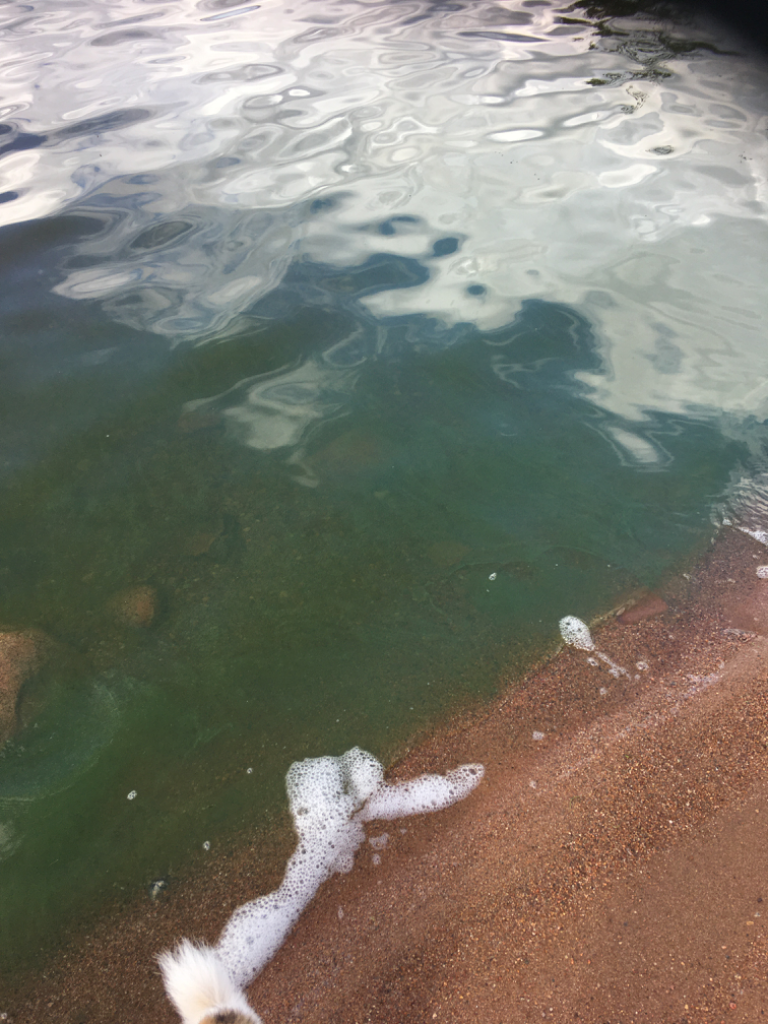 Iso-Vietonen (67.961.1.001)-Liinankijärventie-ObsALG-202307261712-64c28b2f83bae.png