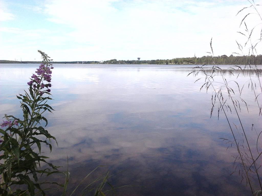 Torankijärvi Haapanantien ranta.jpg