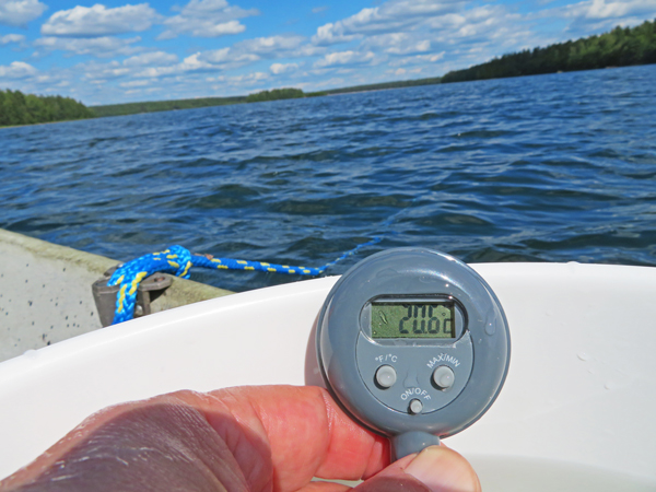 Sääksjärvi (23.097.1.002)-Sääksjärvi-ObsIMG-201907201400-38.jpg