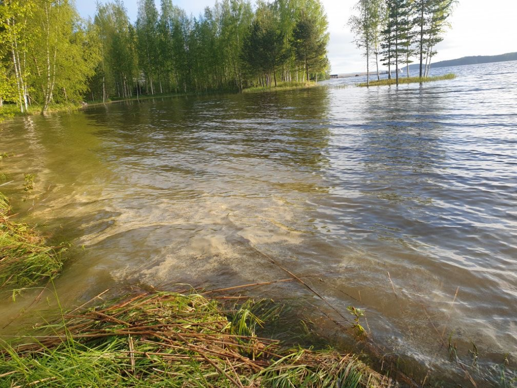 Päijänne (yhd.)-Rotarien sinileväseuranta (Lossiranta)-ObsALG-202106010700-60b5e7ea01d92.png