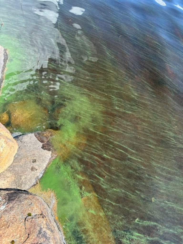 Ontojärvi - Nurmesjärvi (59.911.1.001)-Heinälahti-ObsIMG-202306270821-64a3acbc29926.png