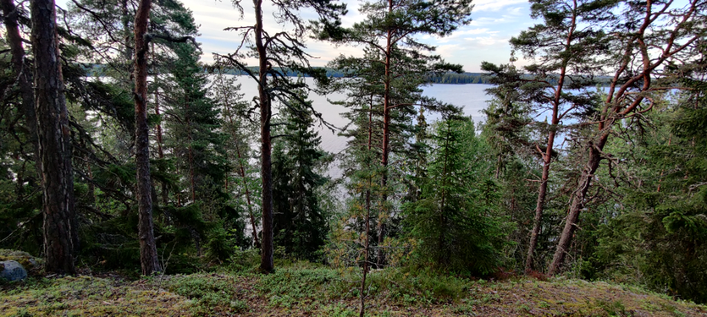 Pyhäjärvi (35.211.1.001)-Linnavuori-ObsIMG-202107082124-60e7434cd1f1c.png