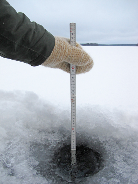 Sääksjärvi (23.097.1.002)-Sääksjärvi-ObsICE-201901051430-1.jpg