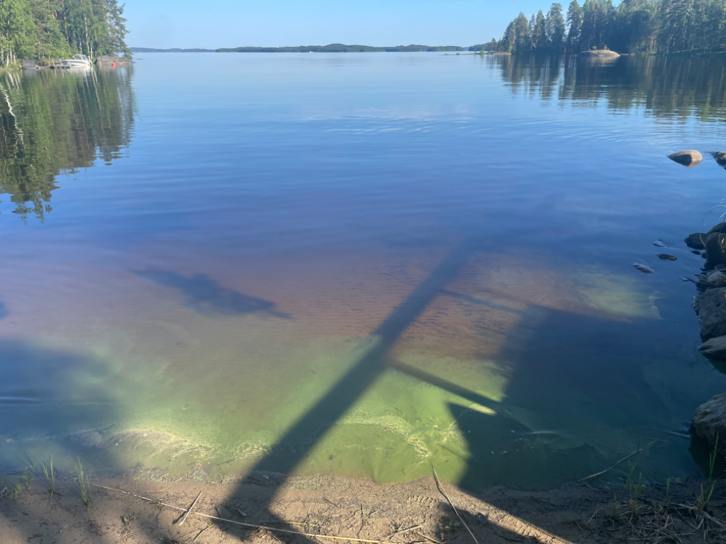 Pihlajavesi (Saimaa) (04.121.1.001)-Kukkoniemi-ObsIMG-202206301807-62bdbd1ff103d.png