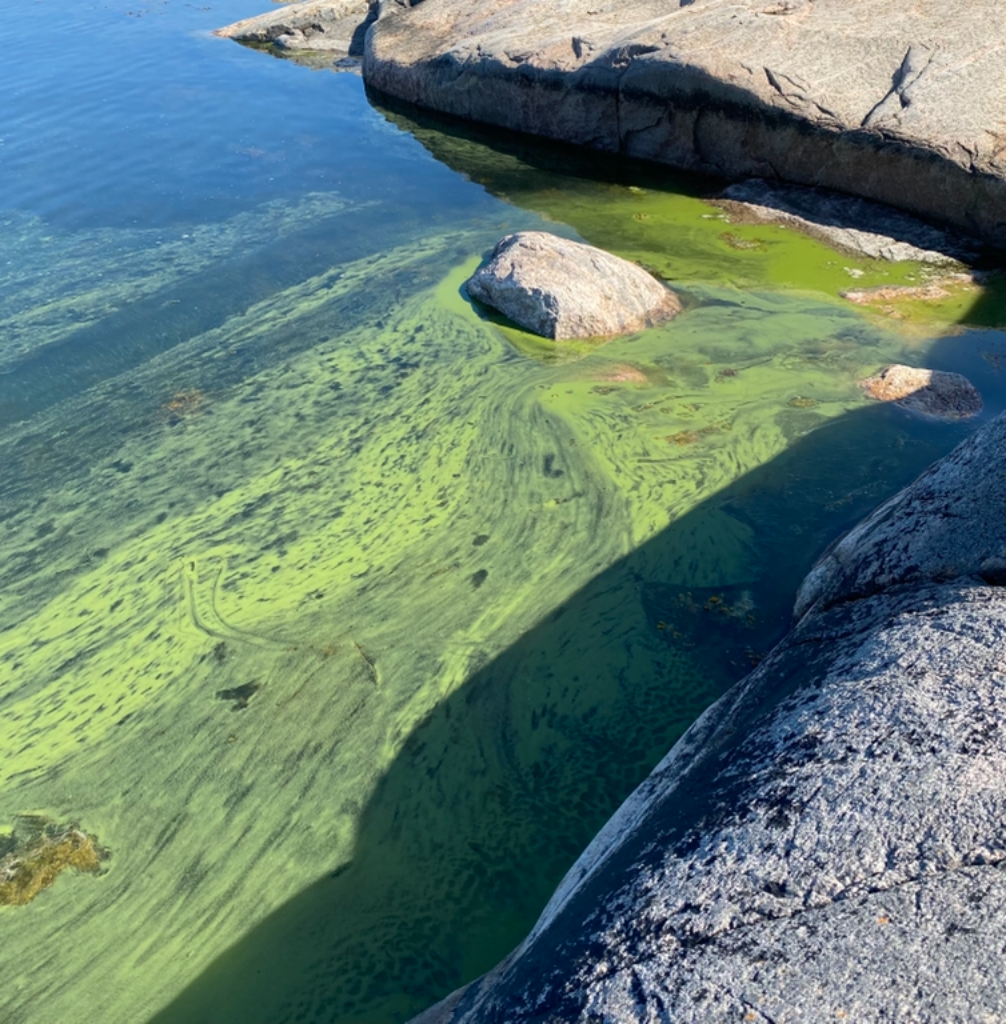 Norra Delet-Nölestholm-ObsALG-202107121000-60ebf7f306f0c.png