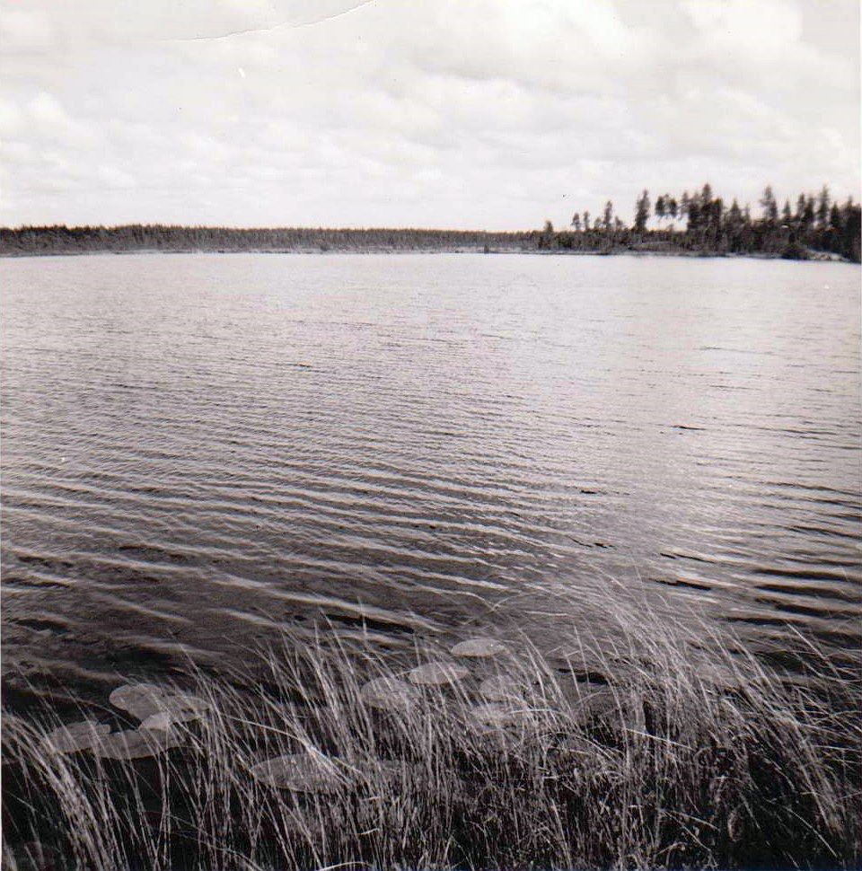 Yrttilampi Vieskojen rajalla.jpg