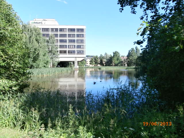 Munkkiniemen lampi 2.JPG