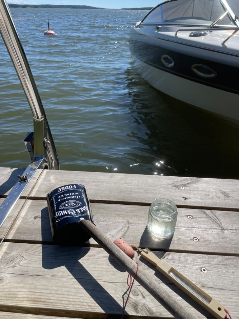 Eekholmanselkä - Orvlaxfjärden-Rotarien sinileväseuranta (Skatankari)-ObsIMG-202406122111-6669e6d6c48f1.png