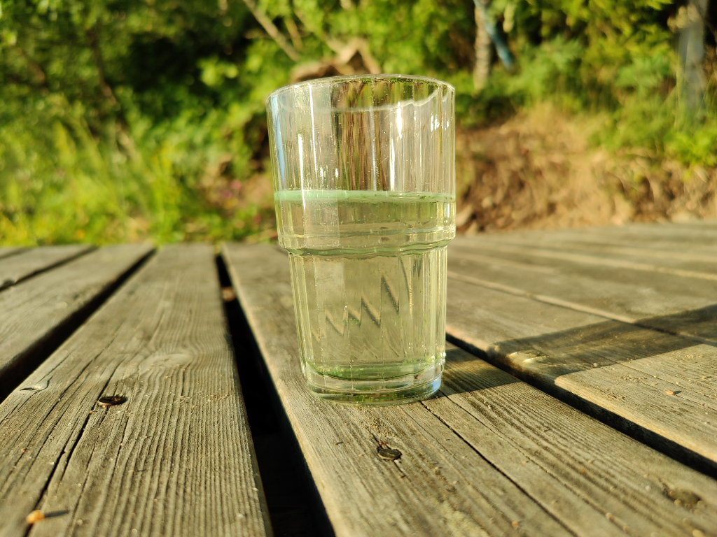 Kivesjärvi (59.351.1.002)-Kivesjärvi-ObsALG-202107022141-60df5ef997cc2.png